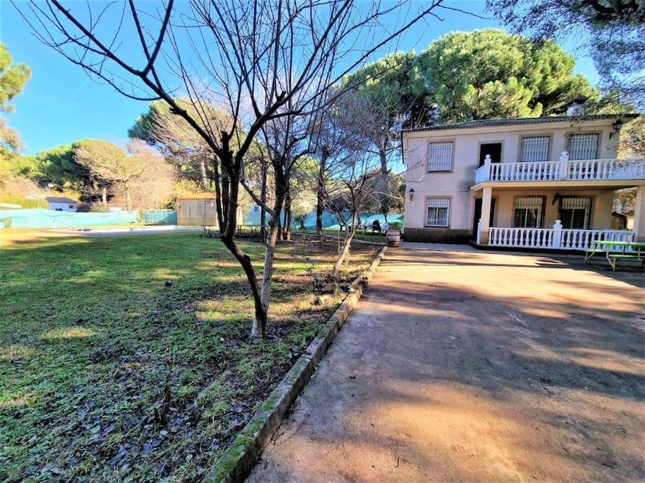 Casa Rosas De Trassierra * Cordoue